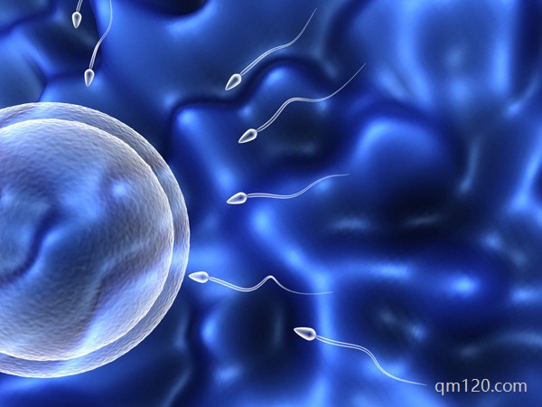 南昌試管好還是濟(jì)南試管好