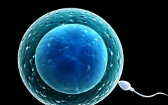 泰國三代試管嬰兒的弊端與優(yōu)勢