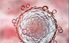 廣東景物醫(yī)院做試管成功幾率高么