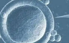 三代試管怎么做的全過(guò)程