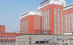 武漢試管大學(xué)雅湘醫(yī)院試管嬰兒成功率