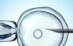 北京古藥大學(xué)東光醫(yī)院試管費(fèi)用