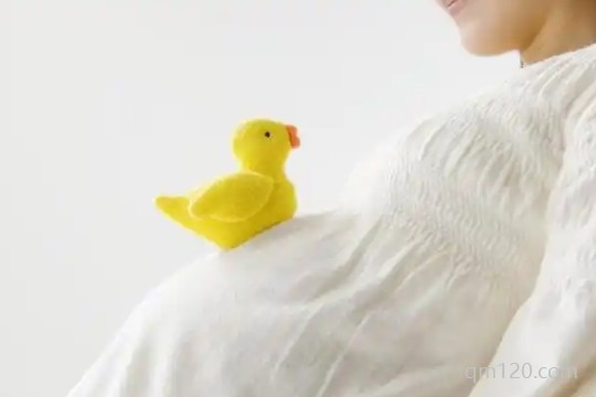 拉拉生子試管機(jī)構(gòu)