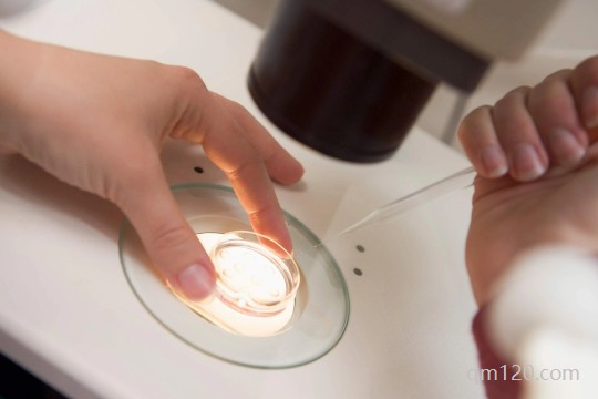 兩個女人怎么生孩子