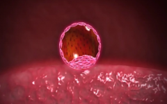 55歲還能做試管嗎