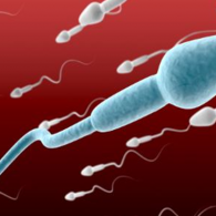 精液檢查