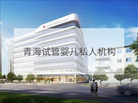 青海私立試管機(jī)構(gòu)