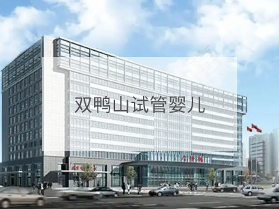 雙鴨山試管嬰兒