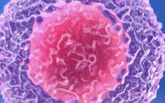 廈門大學附屬中山醫(yī)院做試管費用要多少錢