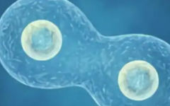 柳州市婦幼保健院試管嬰兒費用表公布