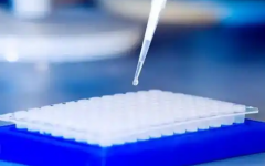 馬來西亞三代試管嬰兒多少錢