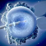 新加坡三代試管嬰兒