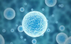 唐山婦幼做試管大概多少錢