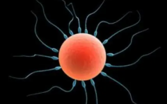 有沒有去泰國做試管沒成功的