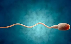 浙江省臺(tái)州醫(yī)院做試管費(fèi)用表公布