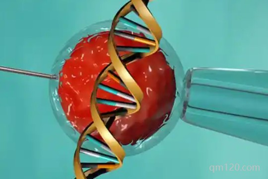 試管嬰兒能避免輸卵管妊娠嗎