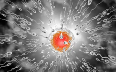 玉溪市試管助孕中心試管多少錢