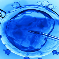 重慶三代試管嬰兒