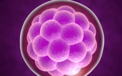 無錫婦幼保健院試管嬰兒費(fèi)用