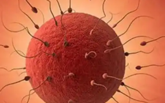 免疫性不孕能做試管嗎