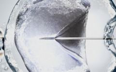 廈大附一院做試管全部下來要多少錢