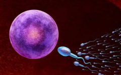 蚌埠醫(yī)學(xué)專業(yè)第一附屬醫(yī)院做試管嬰兒成功率高么