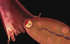 做試管要取幾次卵