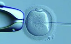 三代試管過(guò)程親身經(jīng)歷