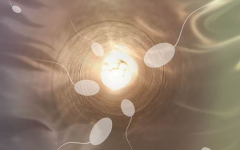 泰國試管成功率比國內(nèi)高嗎