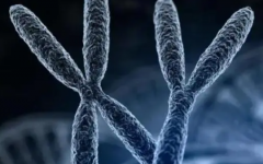 泰國(guó)三代試管嬰兒成熟嗎