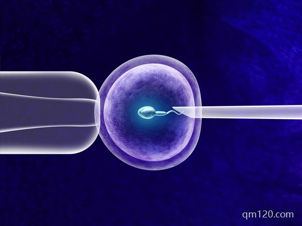 石家莊做試管好還是北京好