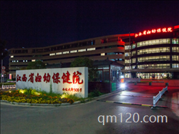 試管嬰兒江西婦保好還是一附院好