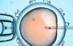 臨沂市中心醫(yī)院試管嬰兒費用