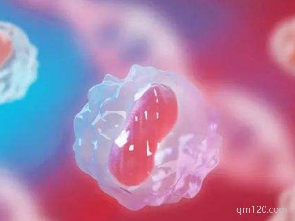 高齡做幾代試管嬰兒好