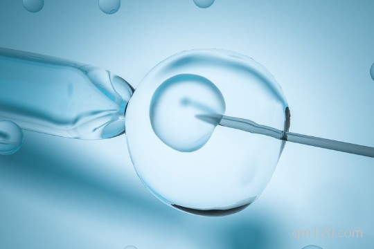 les試管嬰兒是雙方卵子嗎