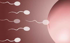 去泰國(guó)試管嬰兒需要準(zhǔn)備多少錢