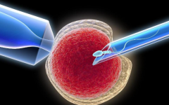 重慶捷爾醫(yī)院試管嬰兒費用