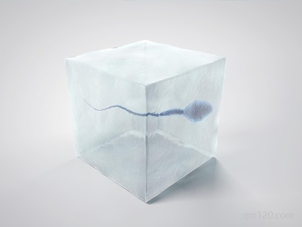 精子保存和鮮精哪個(gè)好試管