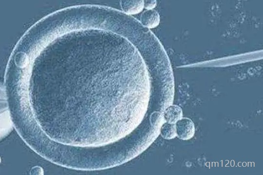 三代試管囊胚活檢淘汰率