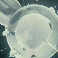 烏克蘭試管嬰兒攻略