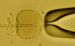 中國醫(yī)科大學(xué)附屬生殖醫(yī)院試管多少錢