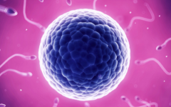 長(zhǎng)治中醫(yī)院試管嬰兒大概費(fèi)用是多少