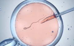 太原市中心醫(yī)院試管嬰兒的價(jià)格