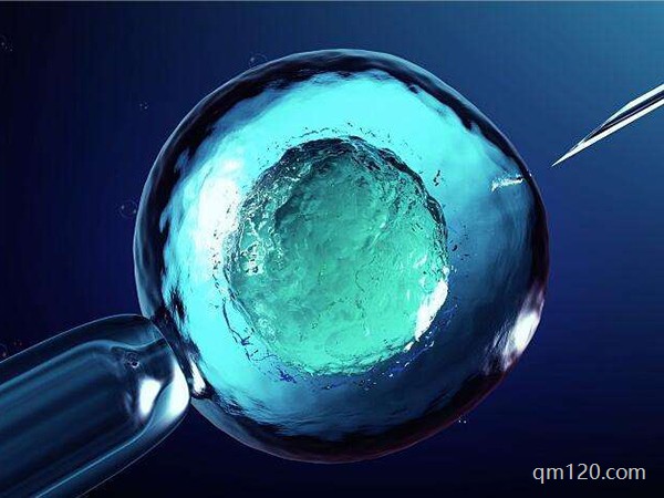 國內(nèi)有拉拉試管成功的嗎