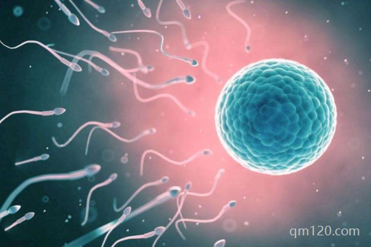 ivm和ivf哪個(gè)成功率高