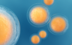 百色市試管助孕中心試管嬰兒三代多少錢