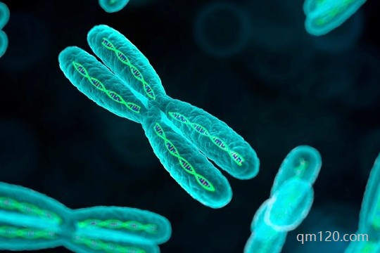 試管移植怎么看清宮表