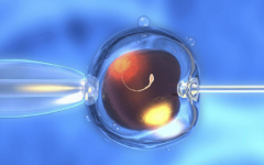 興義市試管助孕中心做試管多少錢