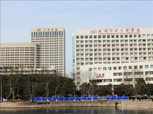 武漢試管醫(yī)院