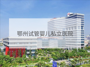 鄂州私立試管機構(gòu)